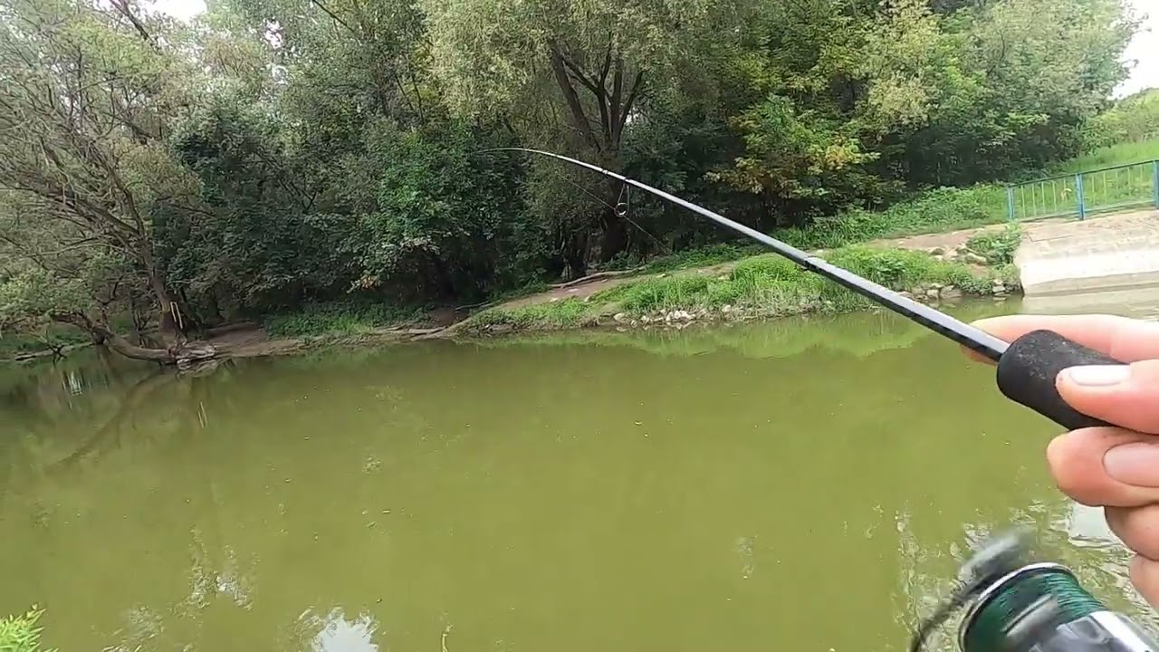 Abu Garcia Orra Predator Spin 662UL 1.98m 1-7g Extra-Fast - ul horgászat Kirillel 08. 14.
