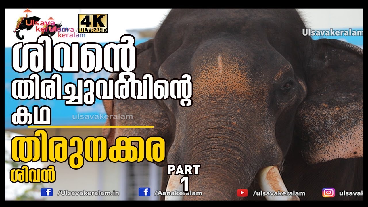 Saving an elephant|തേവർ അനുഗ്രഹിച്ച രാത്രി|Part 2|Thirunakkara Sivan returns|Manoj Vazhakulam|EPI 77