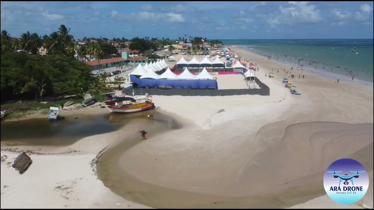 Ara drone 
