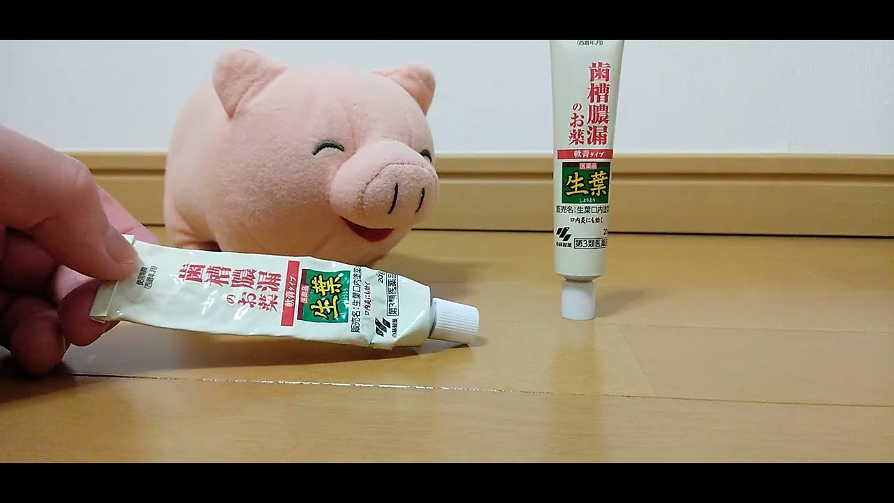 ブタくんと飼い主の日常　めんどくさい男は、歯茎も弱い