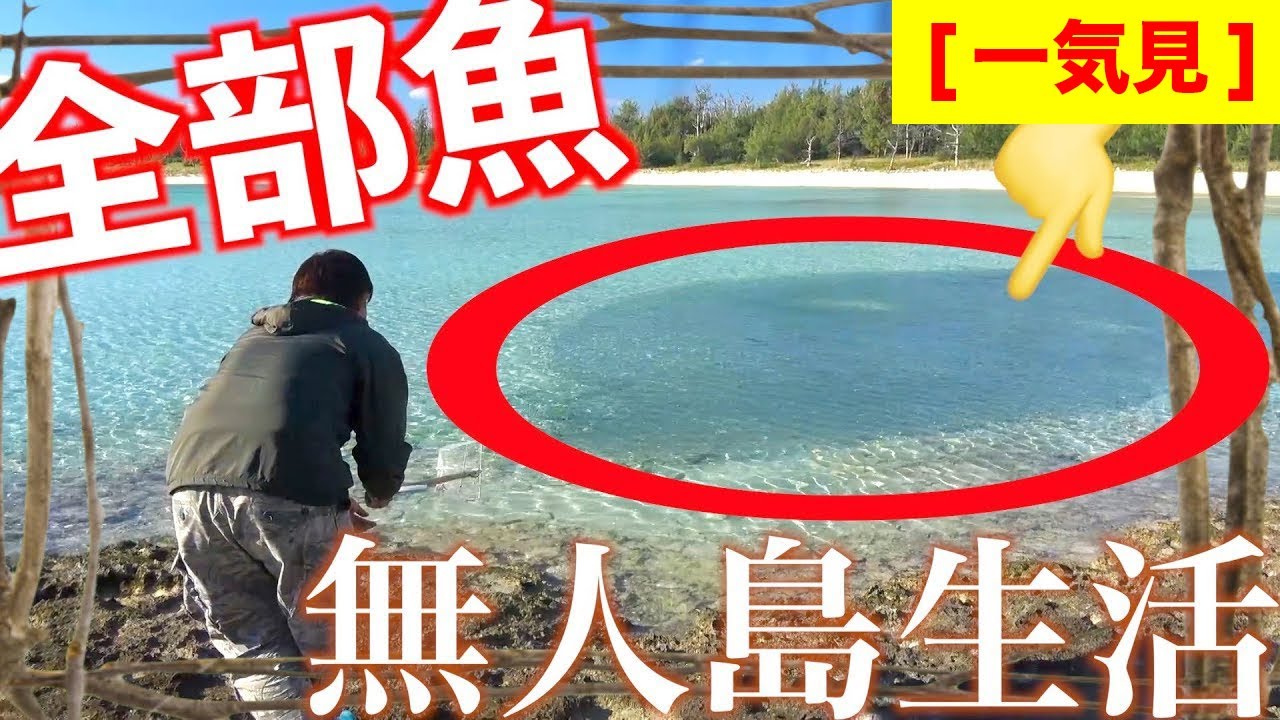 【一気見】無人島で1つだけ持っていけるとしたら何を持って行きますか？