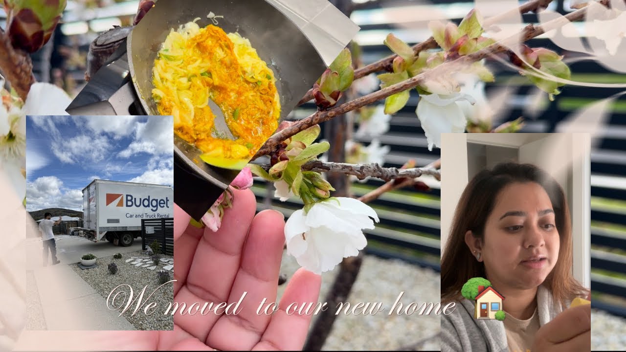 We have moved to our home🏡upgrade এর কাজ cholche + blossom tree লাগালাম বাগানে + আগের বাসা ক্লিনিং 🧹