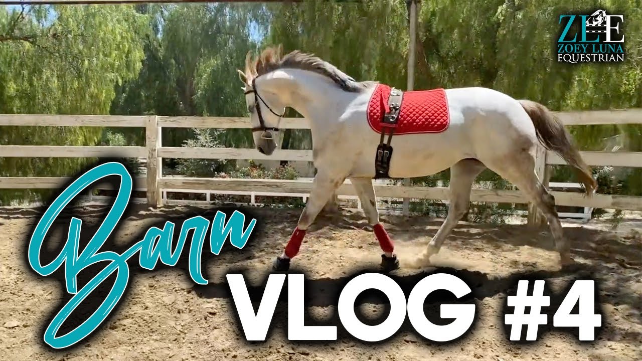 Barn Vlog #4 | Vet Visit, Updates, Trail Riding w/ Students & More!