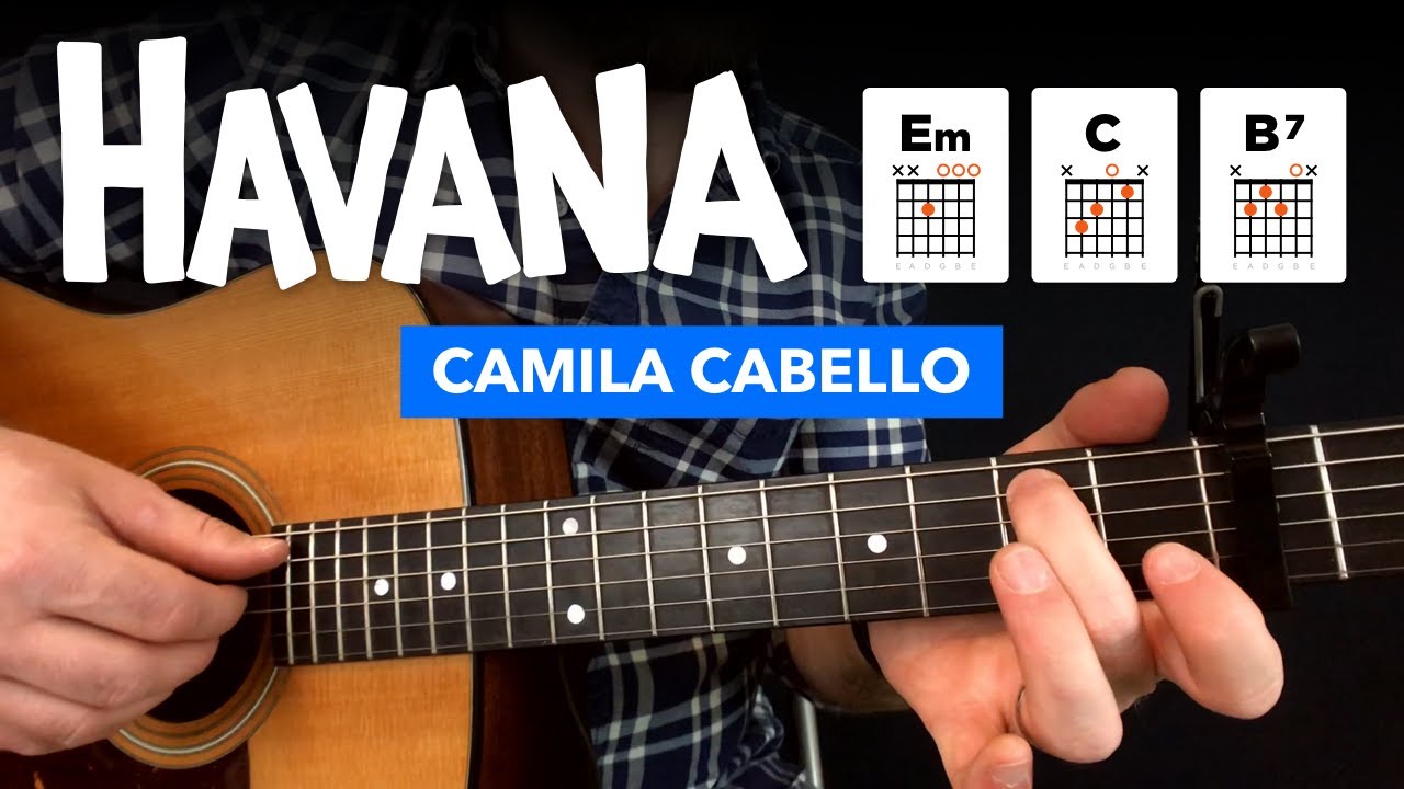 🎸 