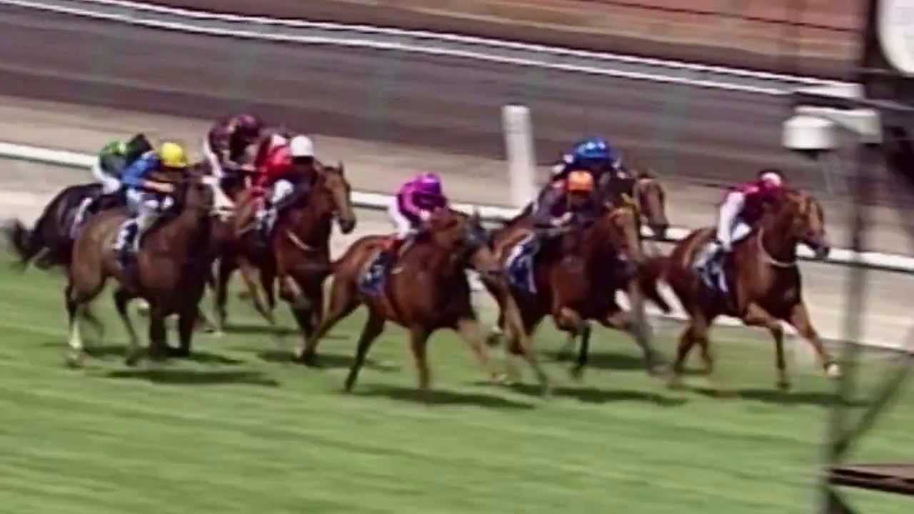 2009 Lightning Stakes- Scenic Blast