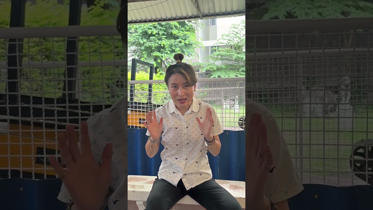 หมาดุสามารถลับเขี้ยวได้หรือไม่?  #dog #dogs #dogtraining #jojohousedogmaster