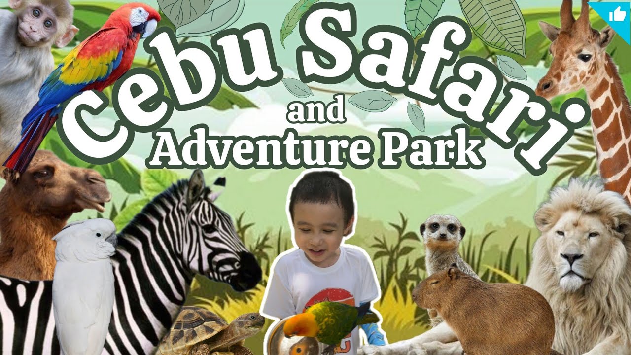 ♡ CEBU SAFARI & ADVENTURE PARK ♡ (Rates & Info) Philippines | Cherriblyme