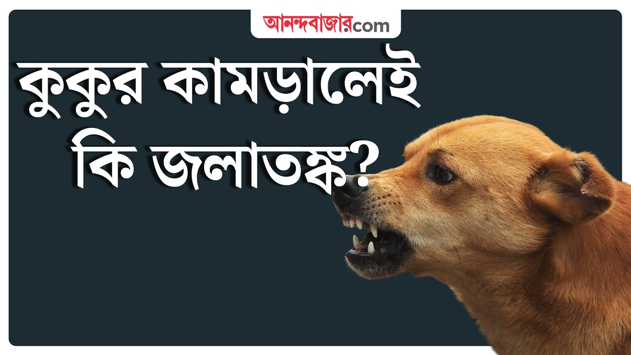 Rabies | জলাতঙ্ক হতে পারে এই আশঙ্কায় আত্মহত্যা মহারাষ্ট্রের যুবকের!