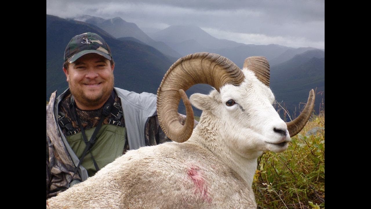 Dall Sheep Hunt in the Northwest Territories
