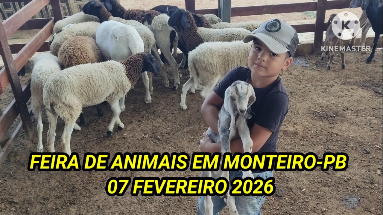 Feira de animais em Monteiro-PB dia 07/02/26