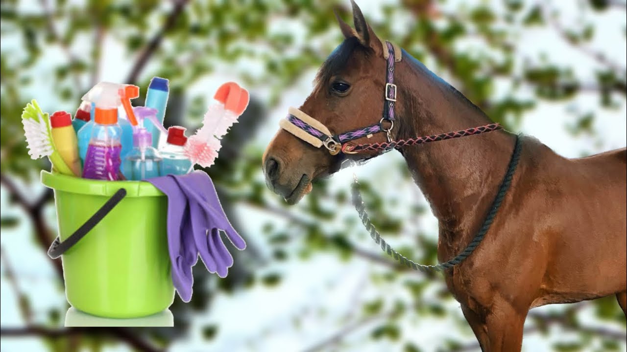 Hyvästejä & siivousta 🧹