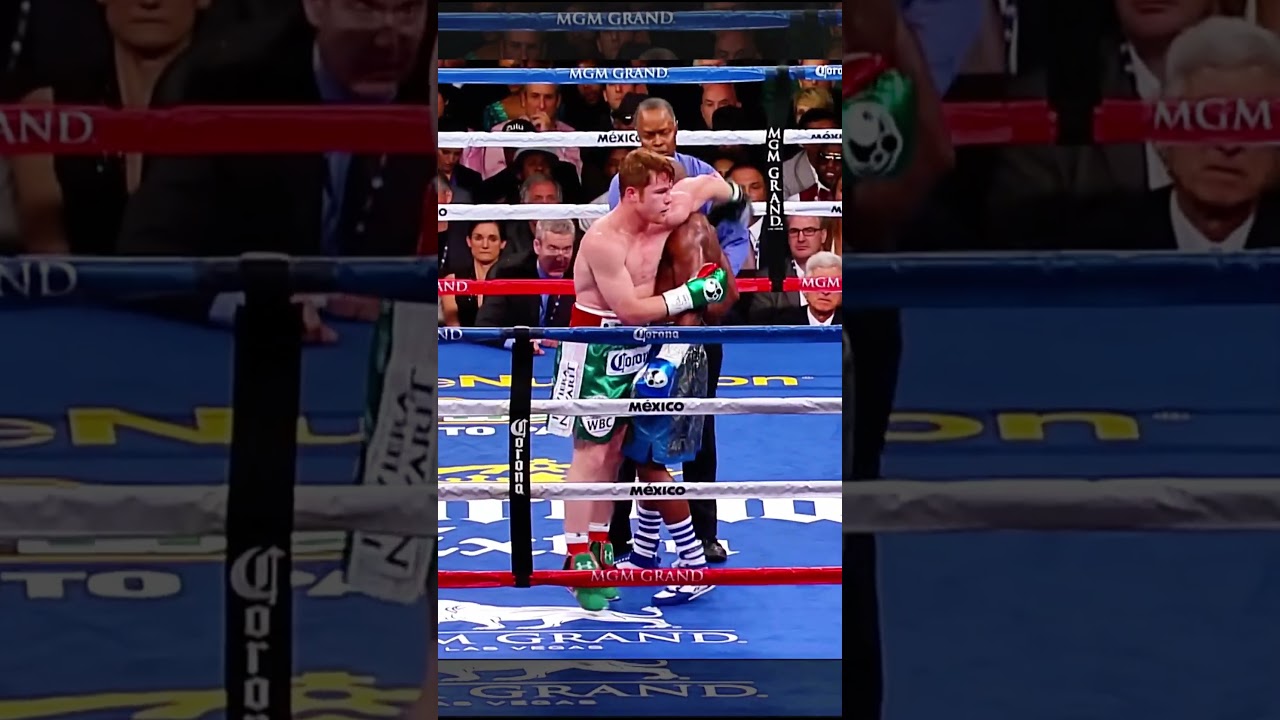 Floyd's Reflex #boxing #floydmayweather #caneloalvarez