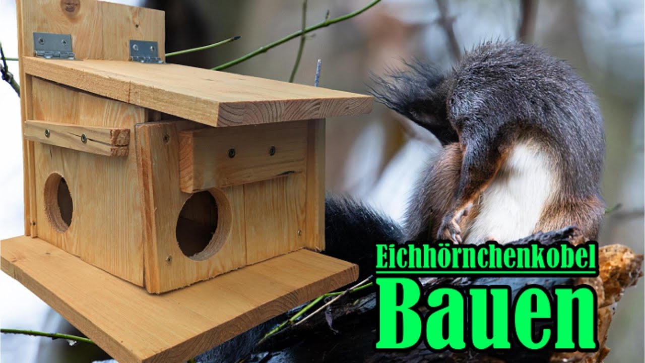 Eichhörnchenhaus selber bauen 🐿️ | DIY Kobel aus Holz