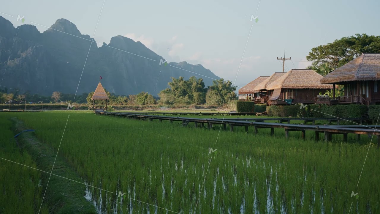 Wooden boardwalk crosses green rice paddies with bungalows and mountains in Laos, alternative