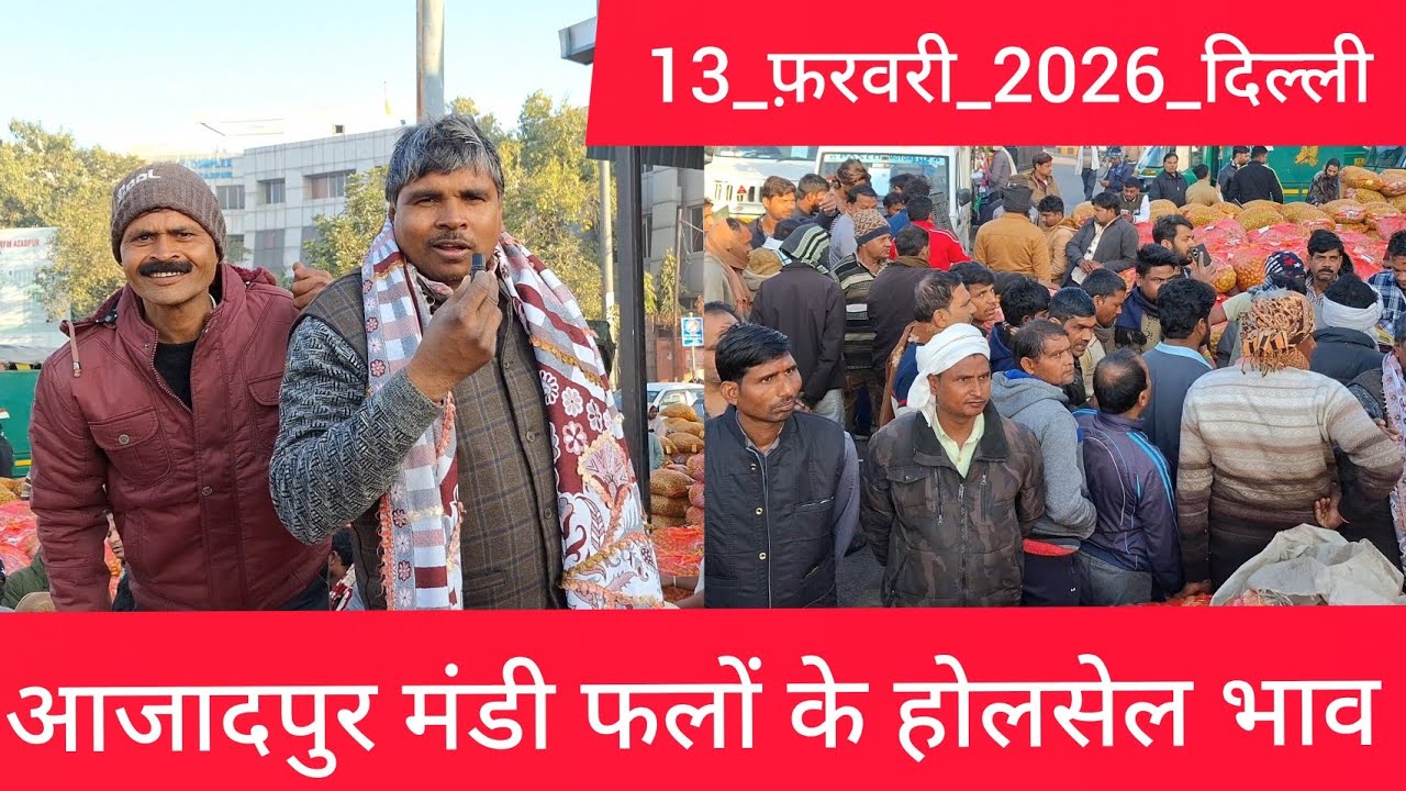 13 February 2026 दिल्ली फलों के भाव Delhi fruit market price APMC fruit market price #fruitmarket