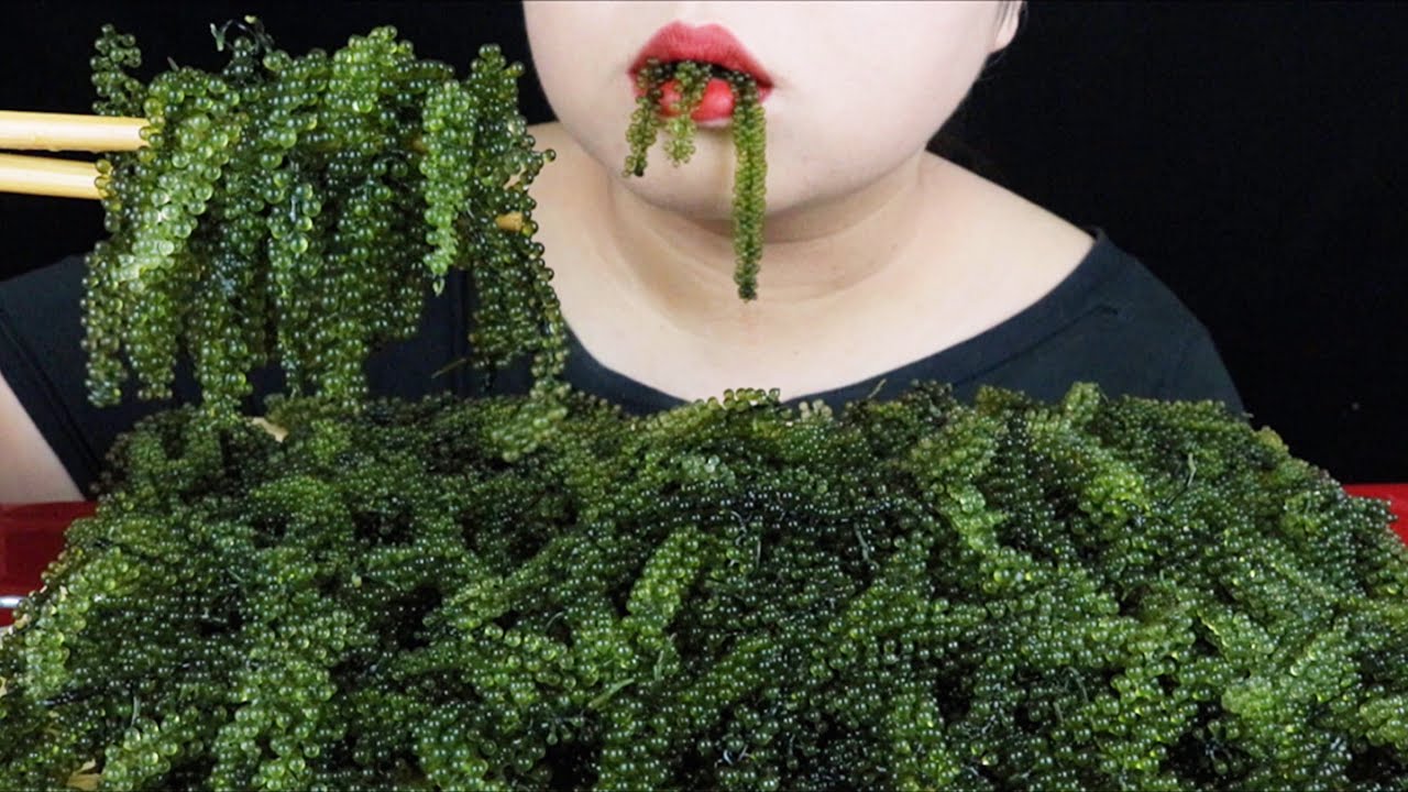 ASMR RAW SEA GRAPES PLATTER. 바다 포도 먹방 . ĂN RONG NHO. EXTREME CRUNCHY SOUNDS. NO TALKING. MAI ASMR