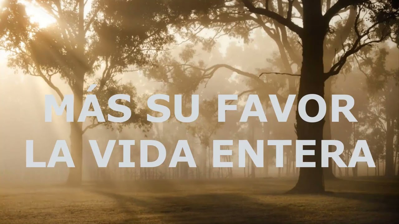 Tu me levantas, Silvia Granda Garz&oacute;n LETRA