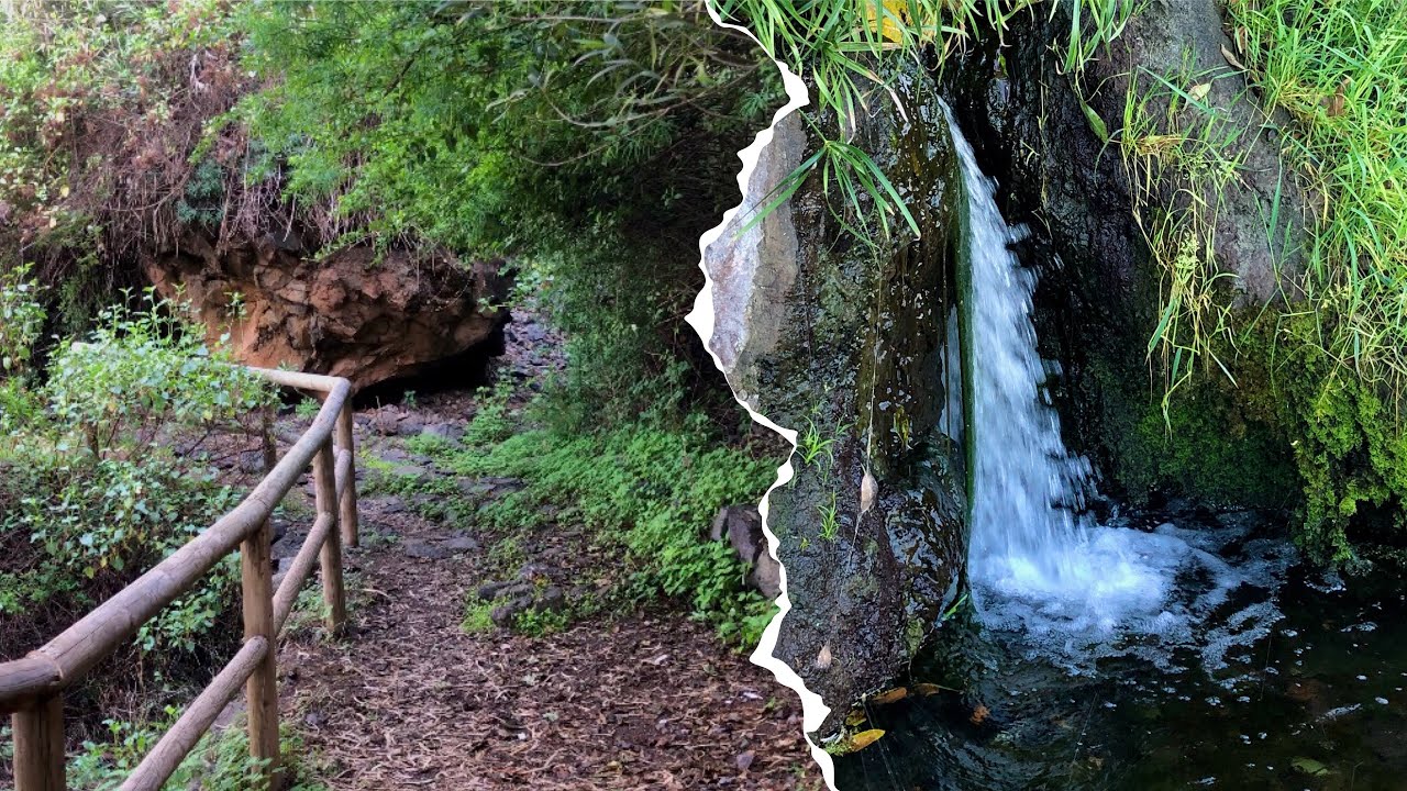 Ruta circular &ldquo;El Sauzal&rdquo;