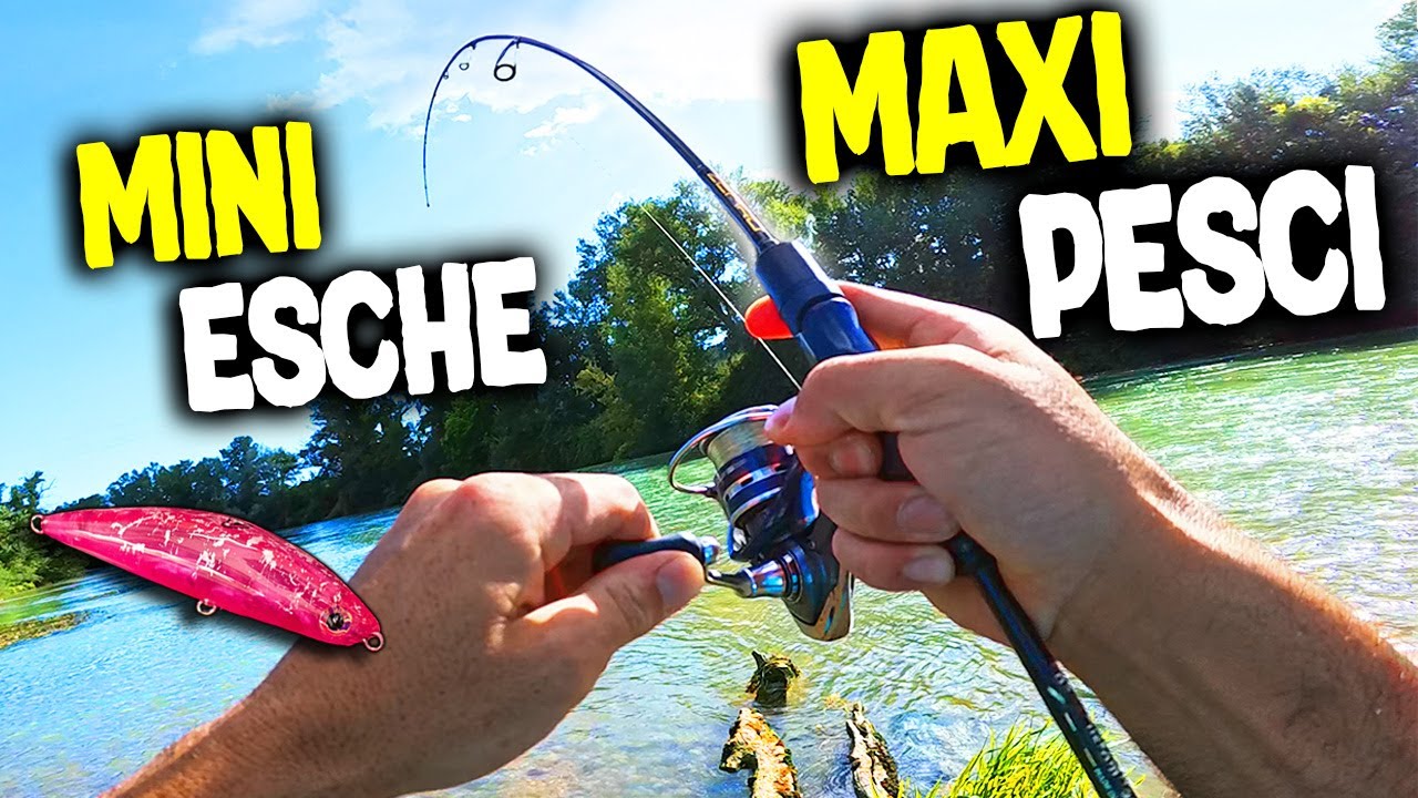 Pesci ENORMI con esche minuscole - Shake Stick by Life under Spinning