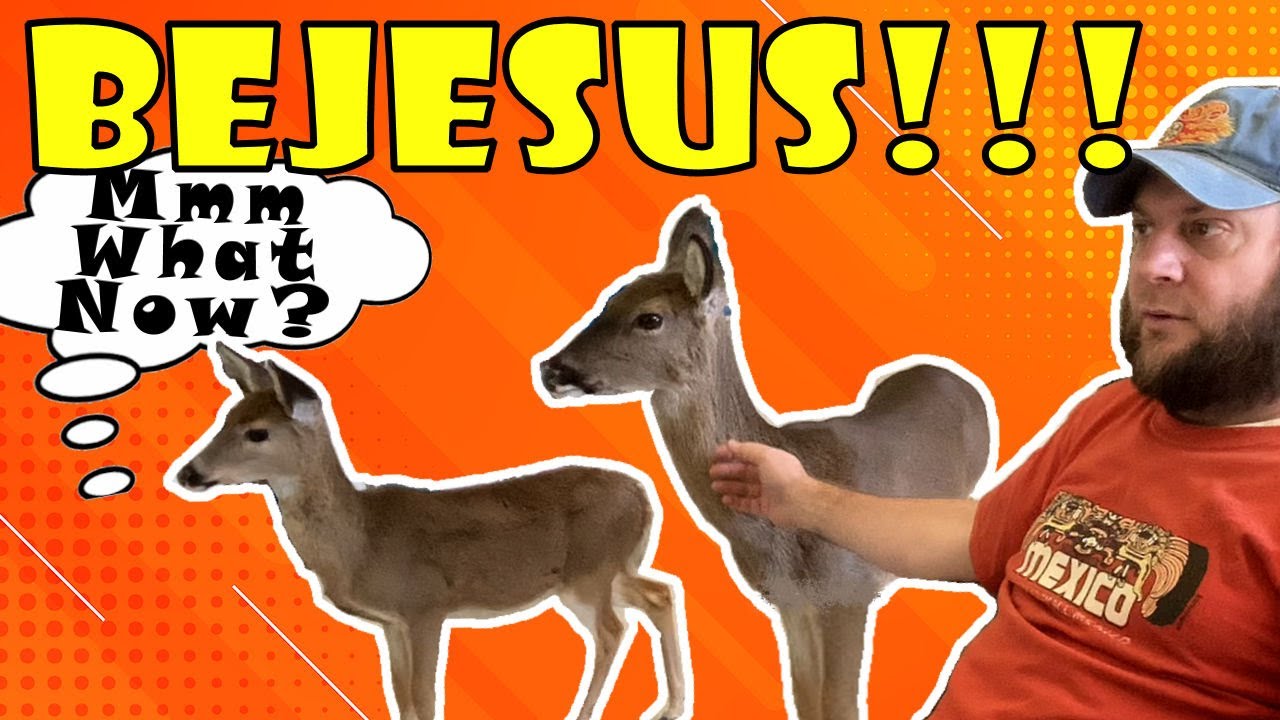 Scaring the BEJESUS out of me !! | Think About It Episode 17