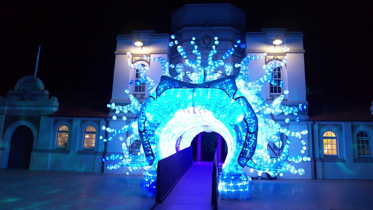 Vivid Sydney At Taronga Zoo