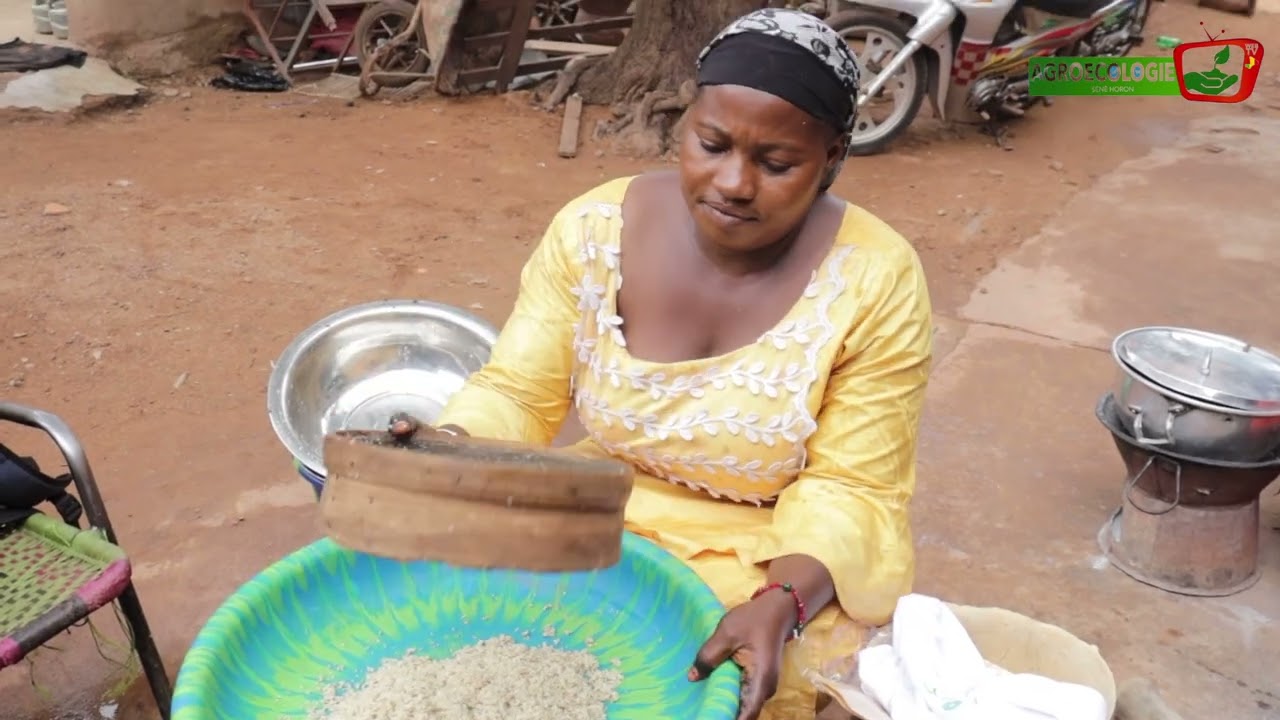 EOA Mali accompagne la transformation de la filière sésame biologique. Suivez  Agroécologie web TV.