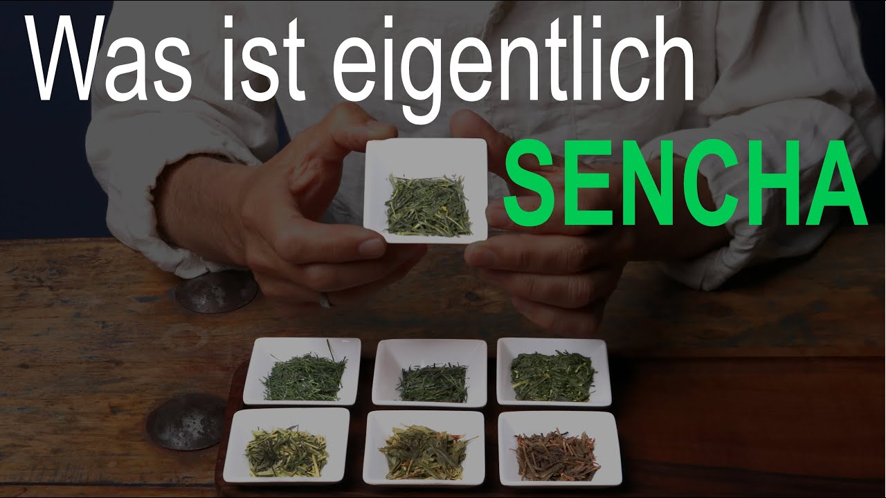 Was ist eigentlich Sencha? Eine Begriffserklärung | Tee Kontor Kiel