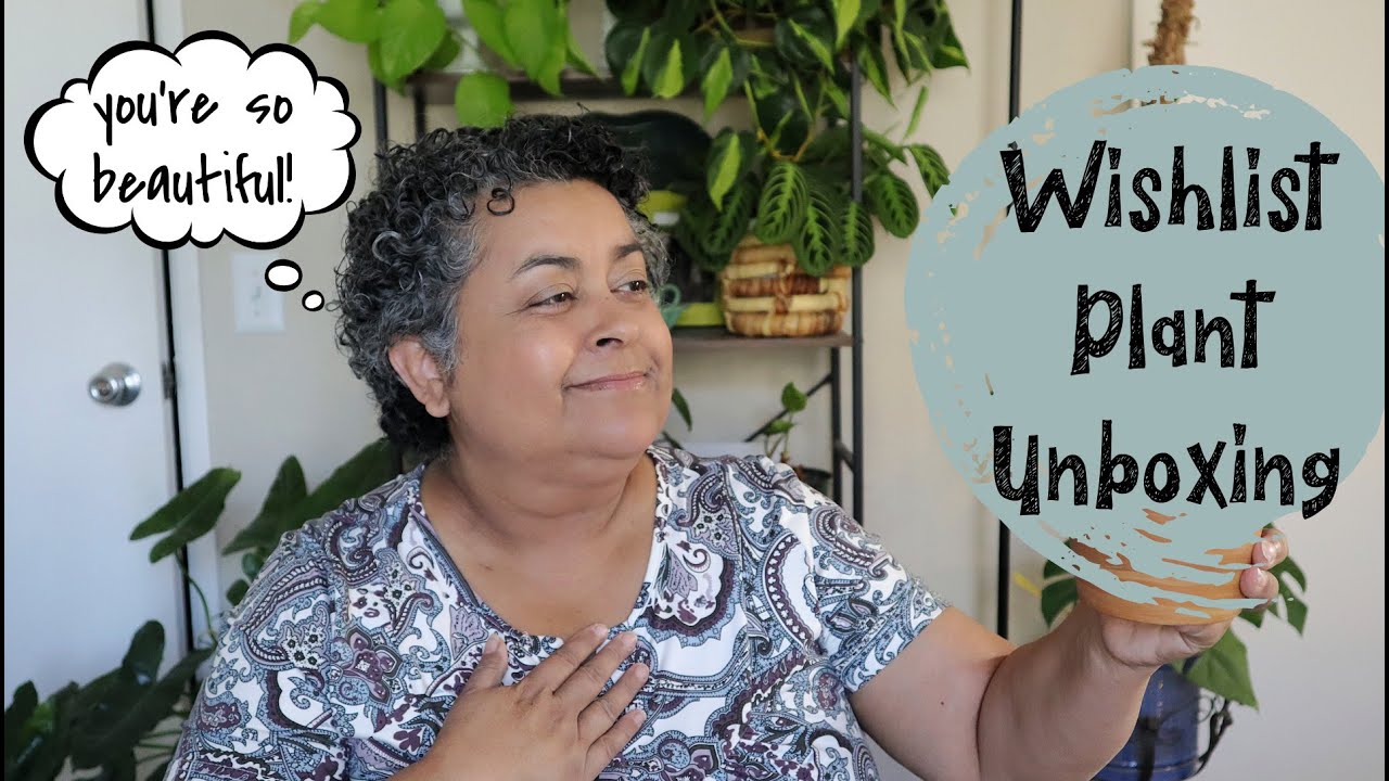Wish List Plant Unboxing | Cactus Wishlist Unboxing