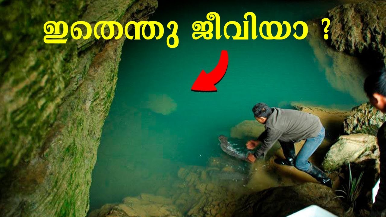 വളരെ കാലം മുൻപേ നമ്മുടെ ഭൂമിയിൽ നിലനിന്നിരുന്ന അതിശയിപ്പിക്കുന്ന ചില വസ്തുക്കൾ