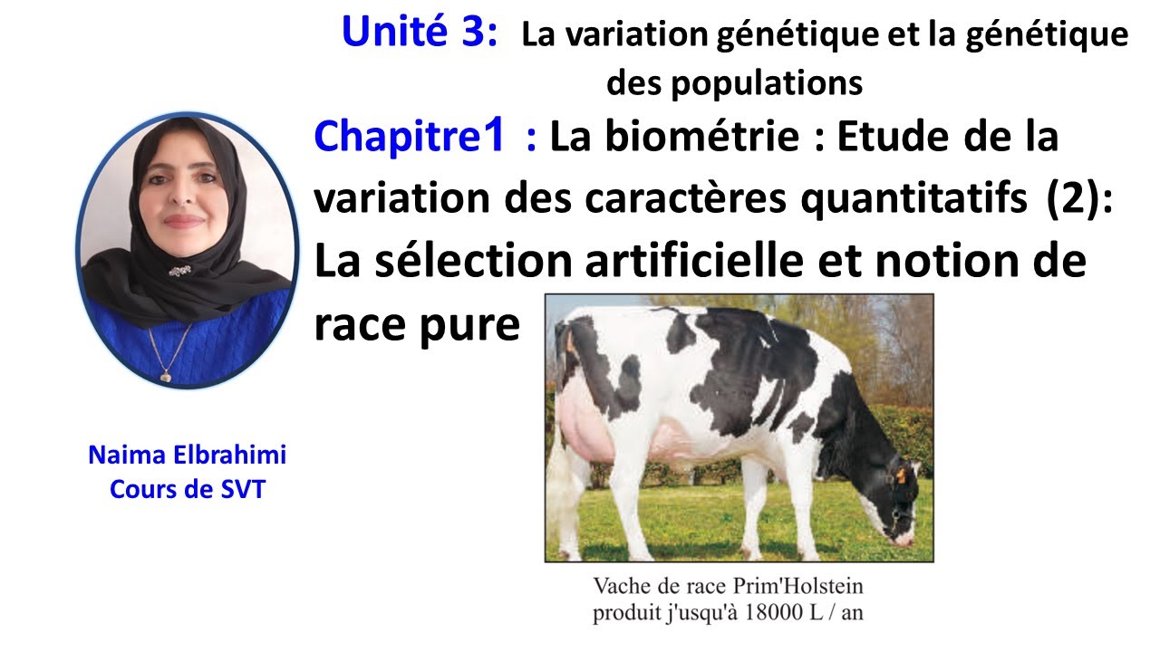 Cours SVT 2 Bac Biof : La biométrie (2) : - La sélection artificielle et notion de race pure-  SM-A