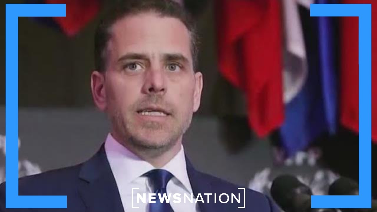 Hunter Biden could face up to 25 years in gun case | NewsNation Now