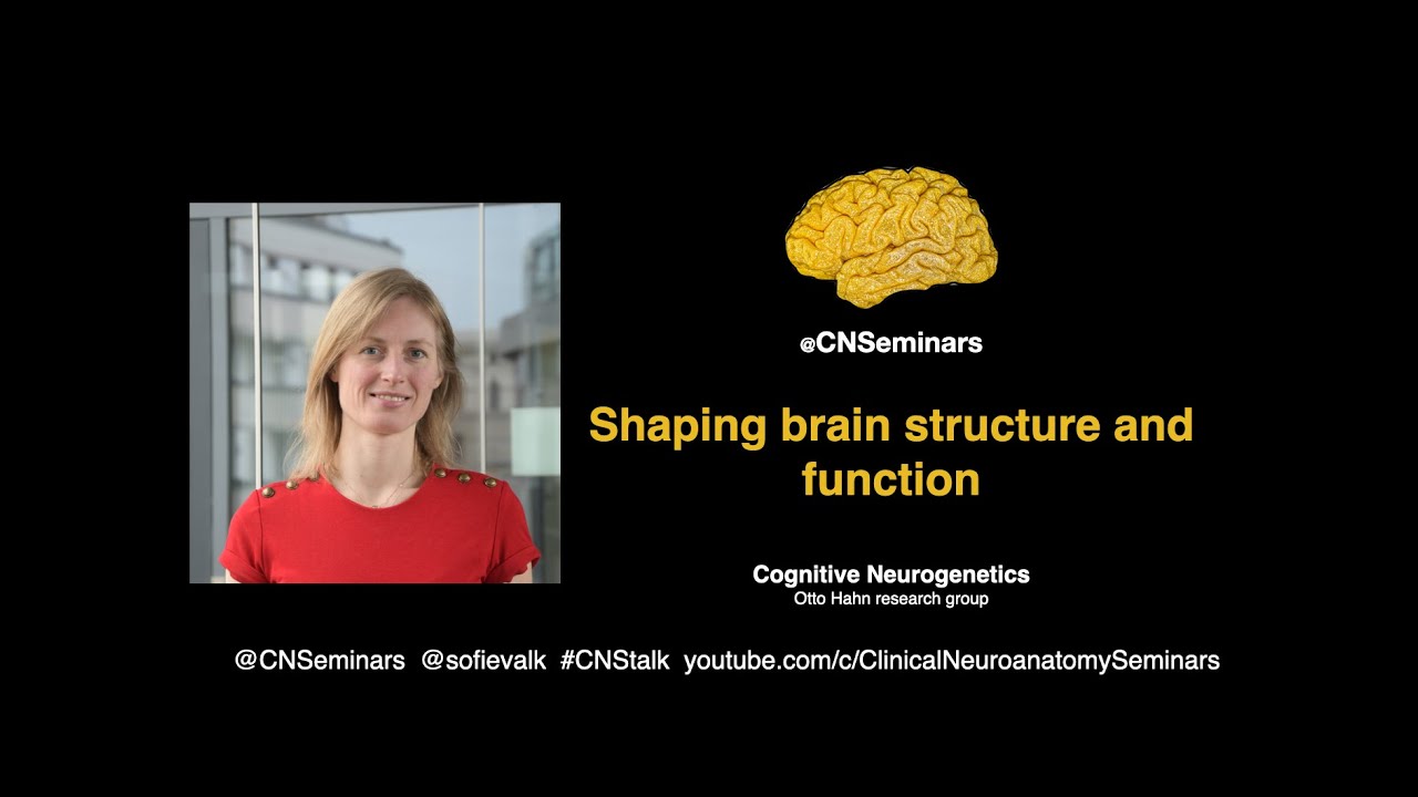 #CNStalk: Shaping brain structure and function - Sofie Valk
