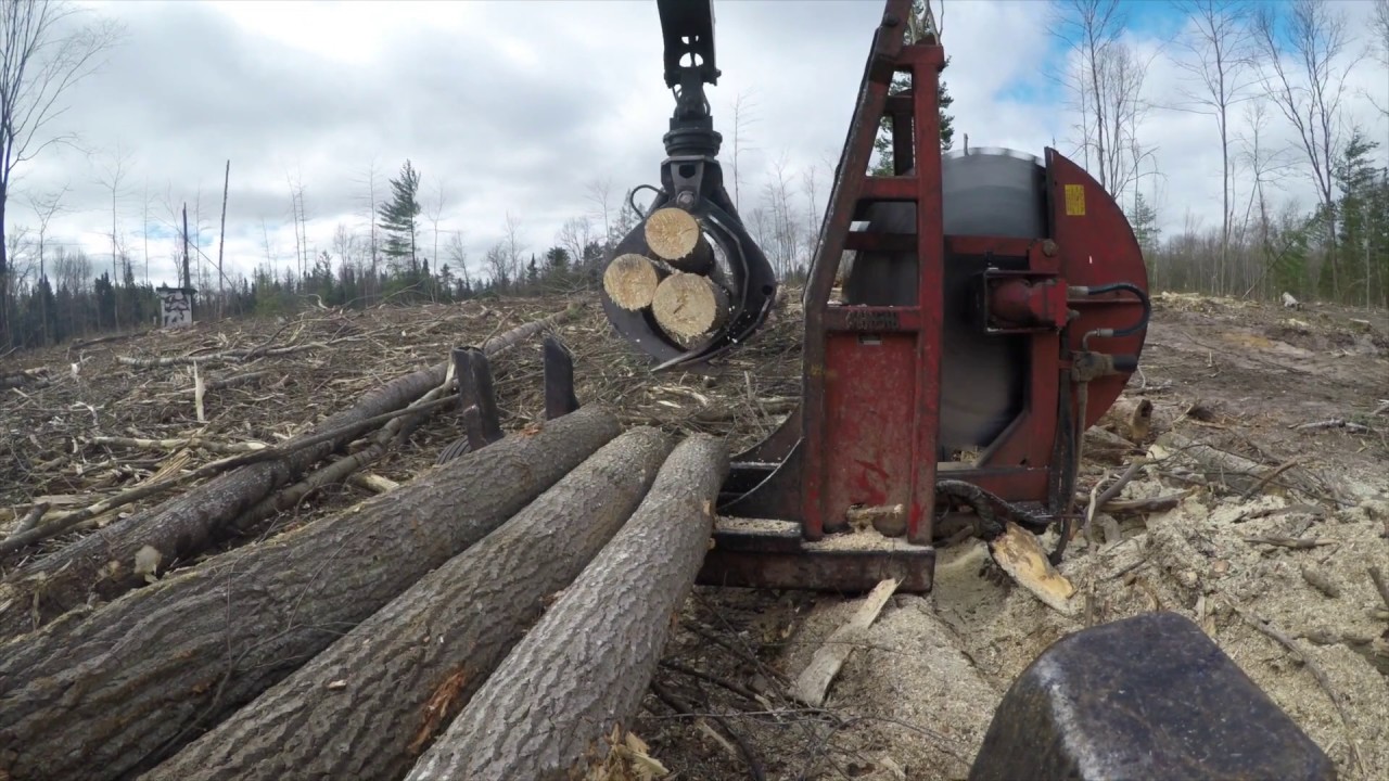 SMASHING LOGS!!