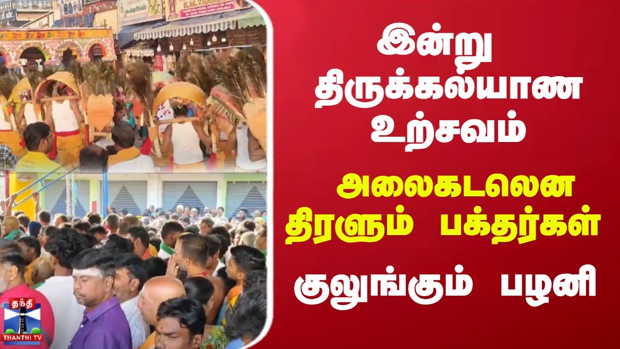 இன்று திருக்கல்யாண உற்சவம்.. அலைகடலென திரளும் பக்தர்கள் - குலுங்கும் பழனி