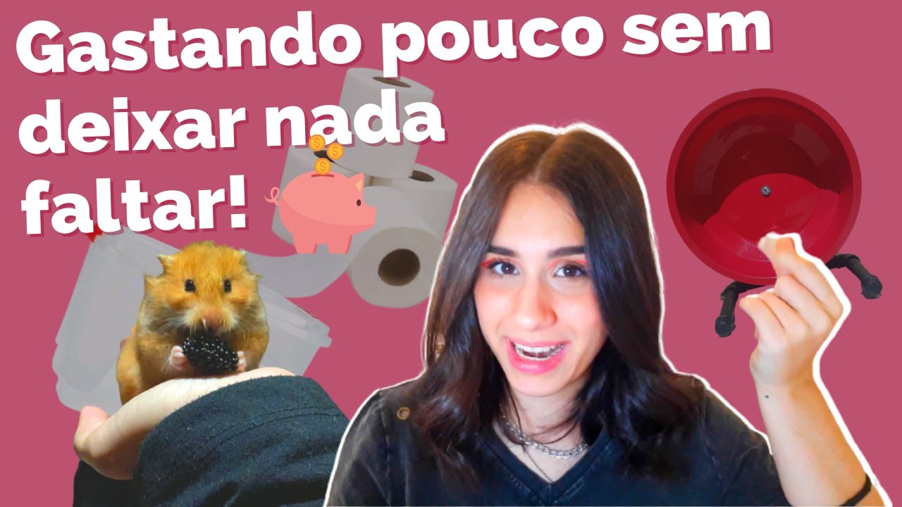 Como ter um hamster feliz SEM GASTAR MUITO! 🤑