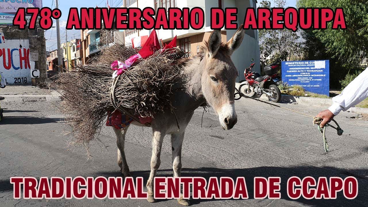 478 ANIVERSARIO DE AREQUIPA: Tradicional Entrada de Ccapo