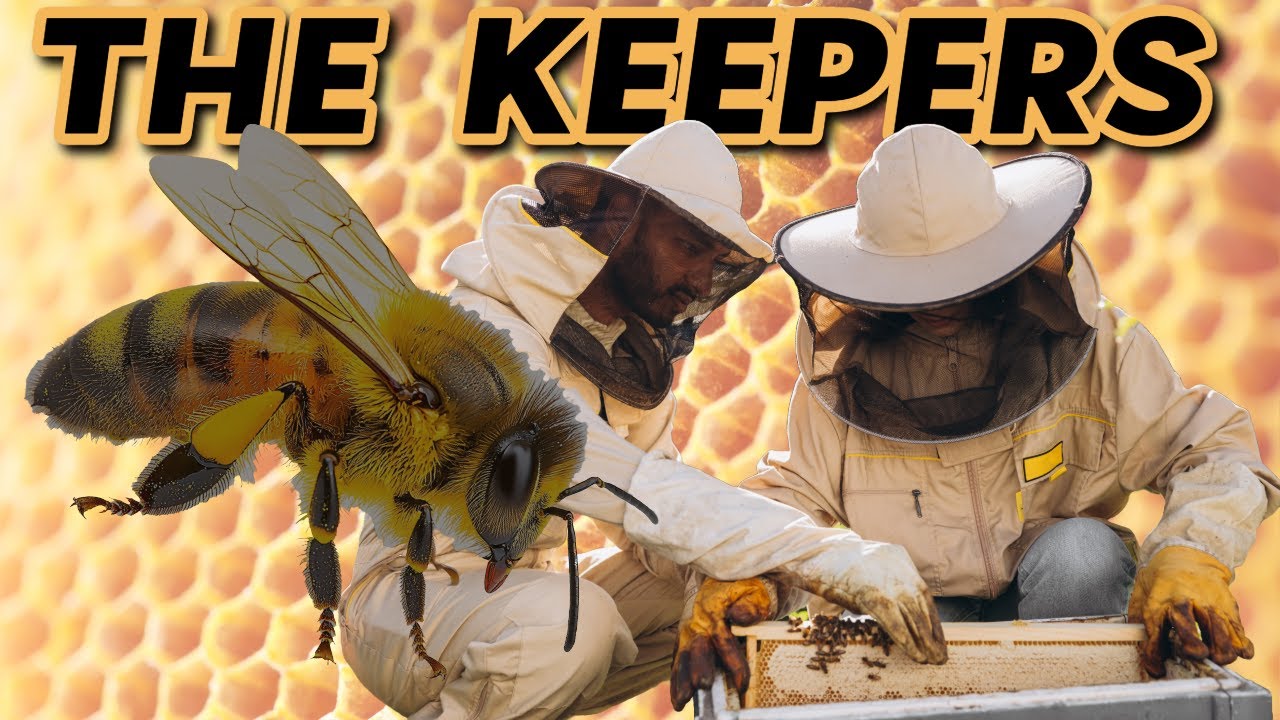 Beekeepers Honey Production Secrets You Won't Believe