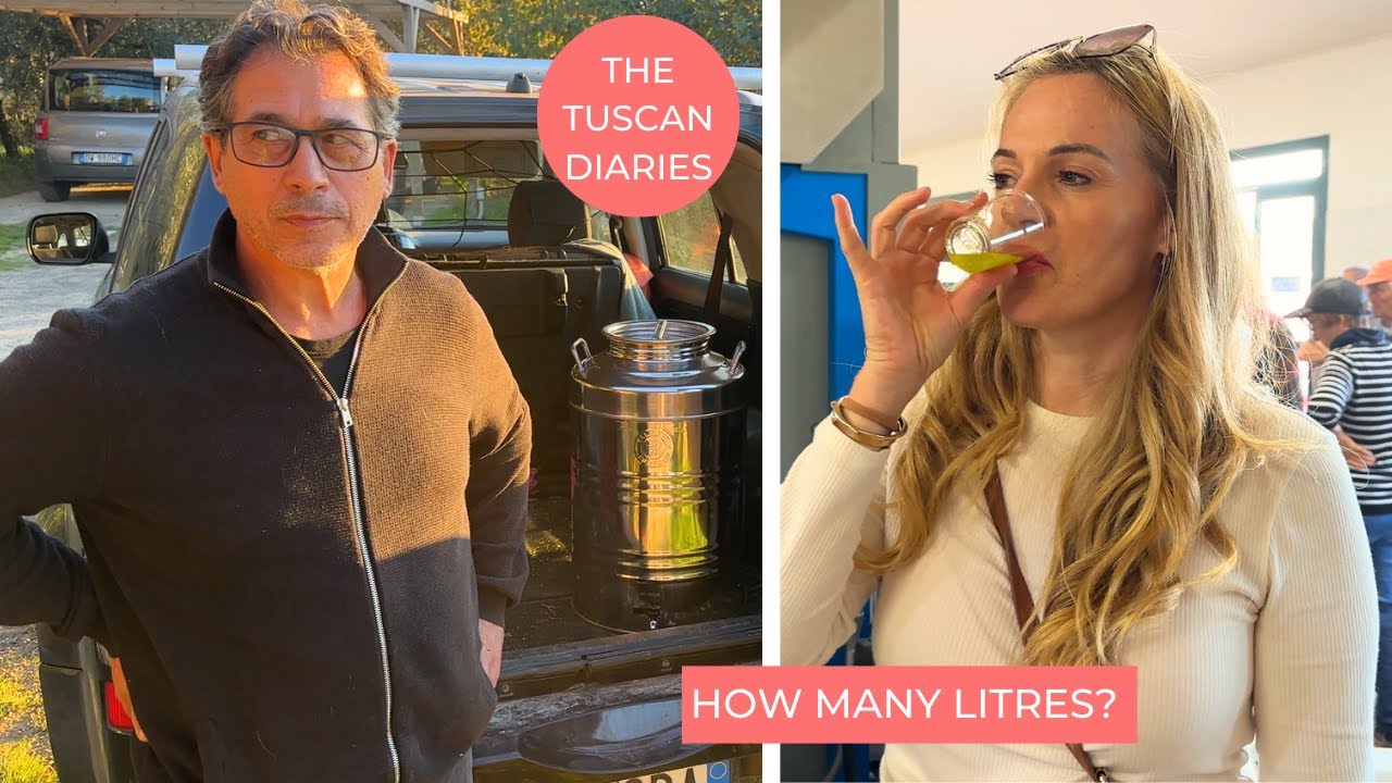HOW OLIVE OIL IS MADE & HOW MUCH DID WE MAKE?