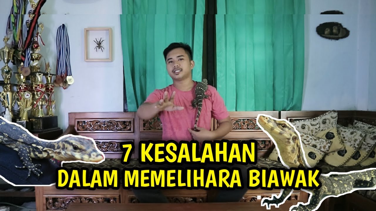 CARI TAHU DULU SEBELUM PELIHARA BIAWAK || VARANUS SALVATOR