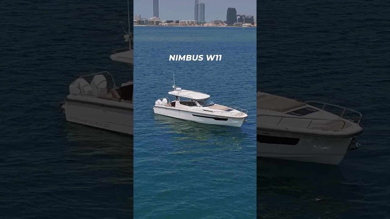 Nimbus T11, C11, & W11