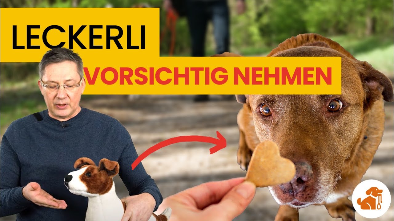 So lernt dein Hund, Leckerlis langsam zu nehmen | Kurztraining mit Jörg