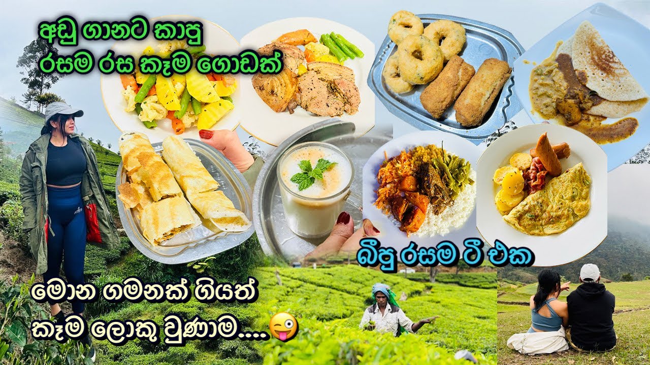 ඔන්න ඔහොමයි අපි trip යන්නේ..😜හැටන් එකේ දවස් 04ක් 🤩 Travel Vlog | Hatton | Agarapathana | Muskeliya