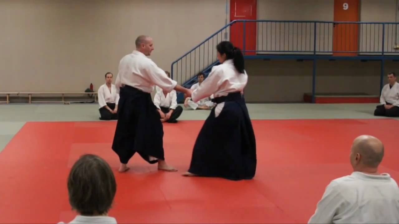 Stéphane GOFFIN and Laetitia DUBASIN: AIKIDO Seminar Dec 2010 Vienna