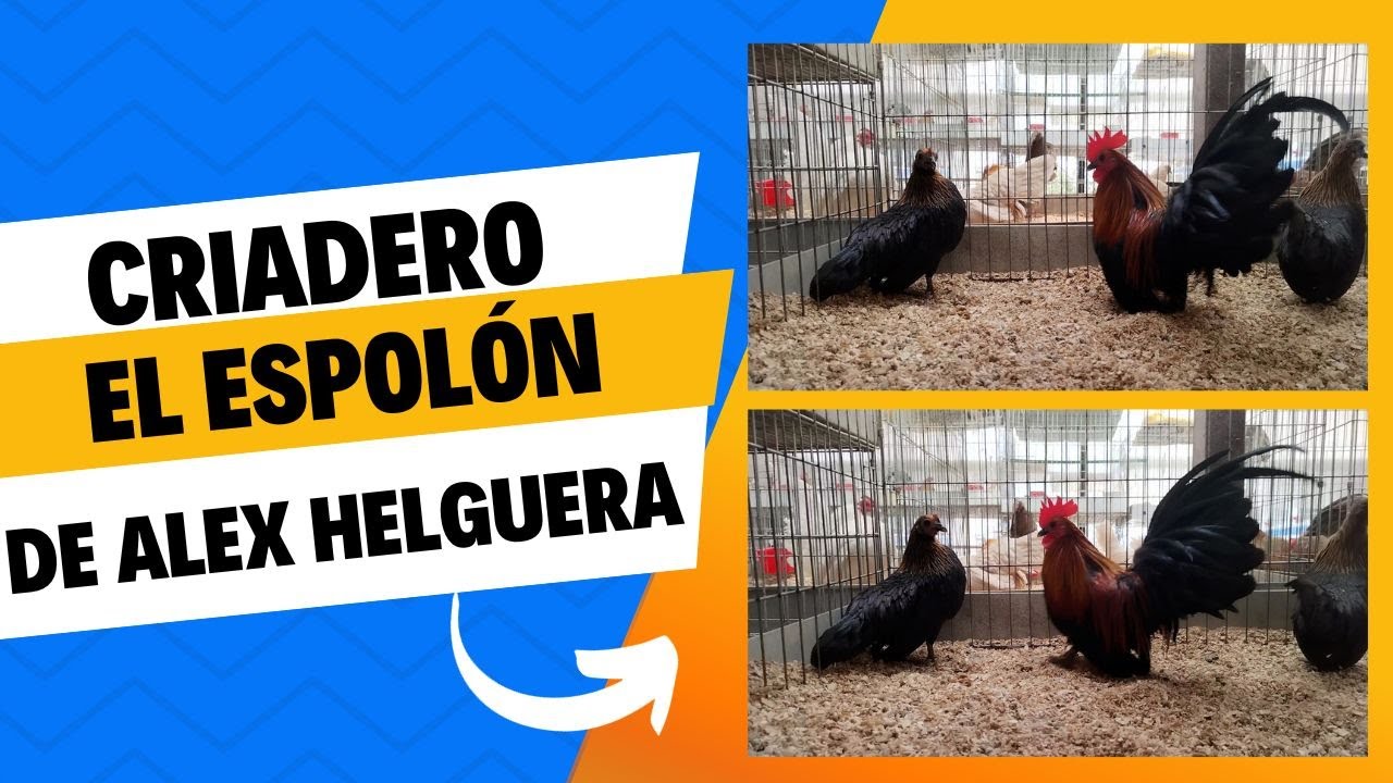Criadero el Espolón