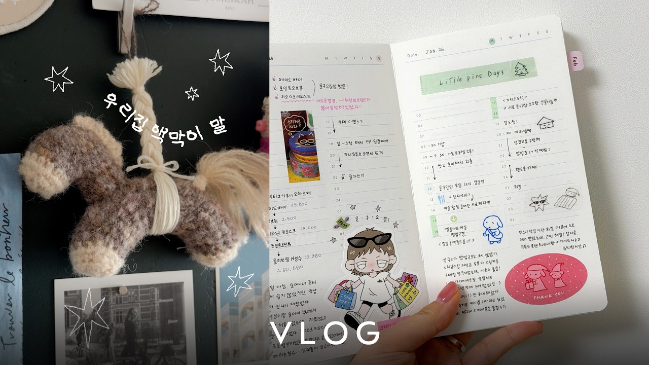 Vlog | 서일페 헬퍼 후기+문구인의 모임🫶 (리틀파인데이즈 리뷰, 카인다블루 다꾸)