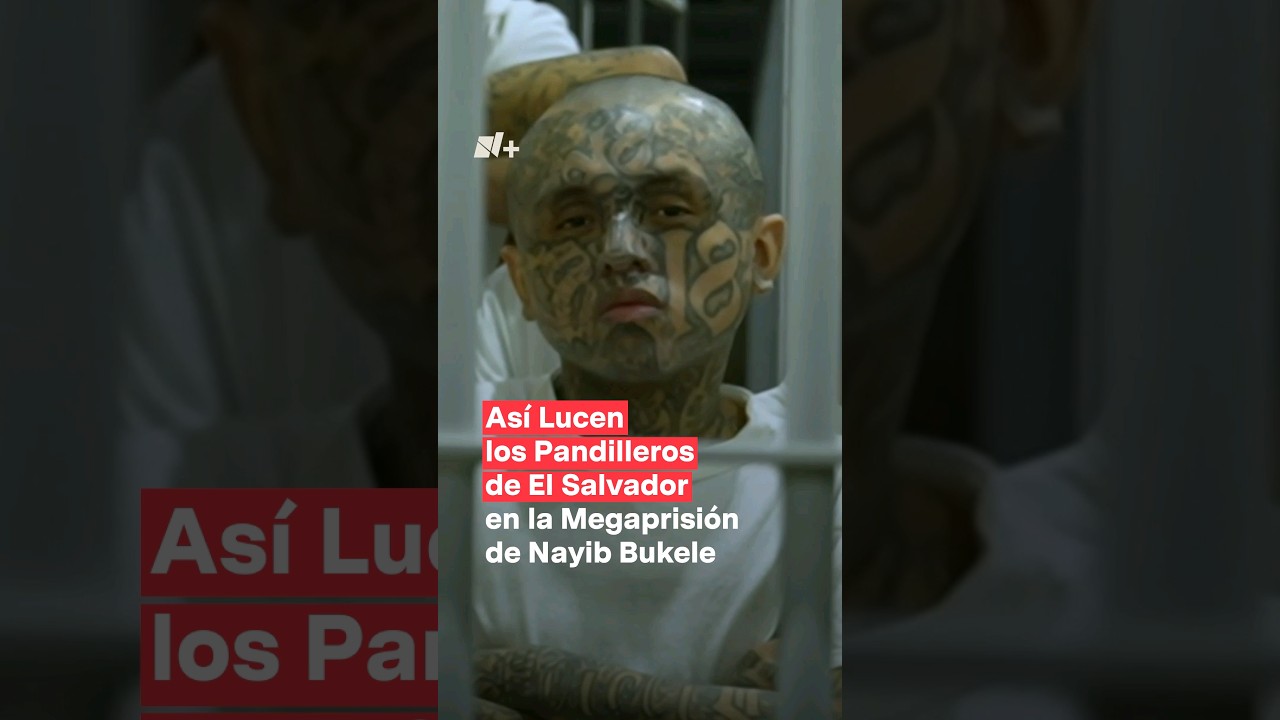 Así es la megaprisión de Bukele #nmas #shorts #elsalvador