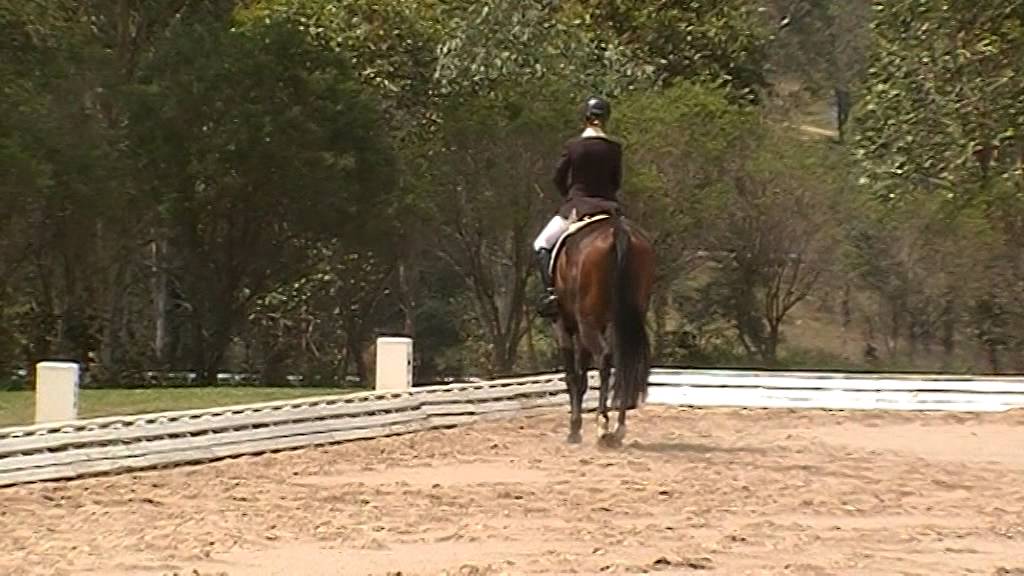 Kelecyn Jackpott PL Dressage Sydney Feb 2014