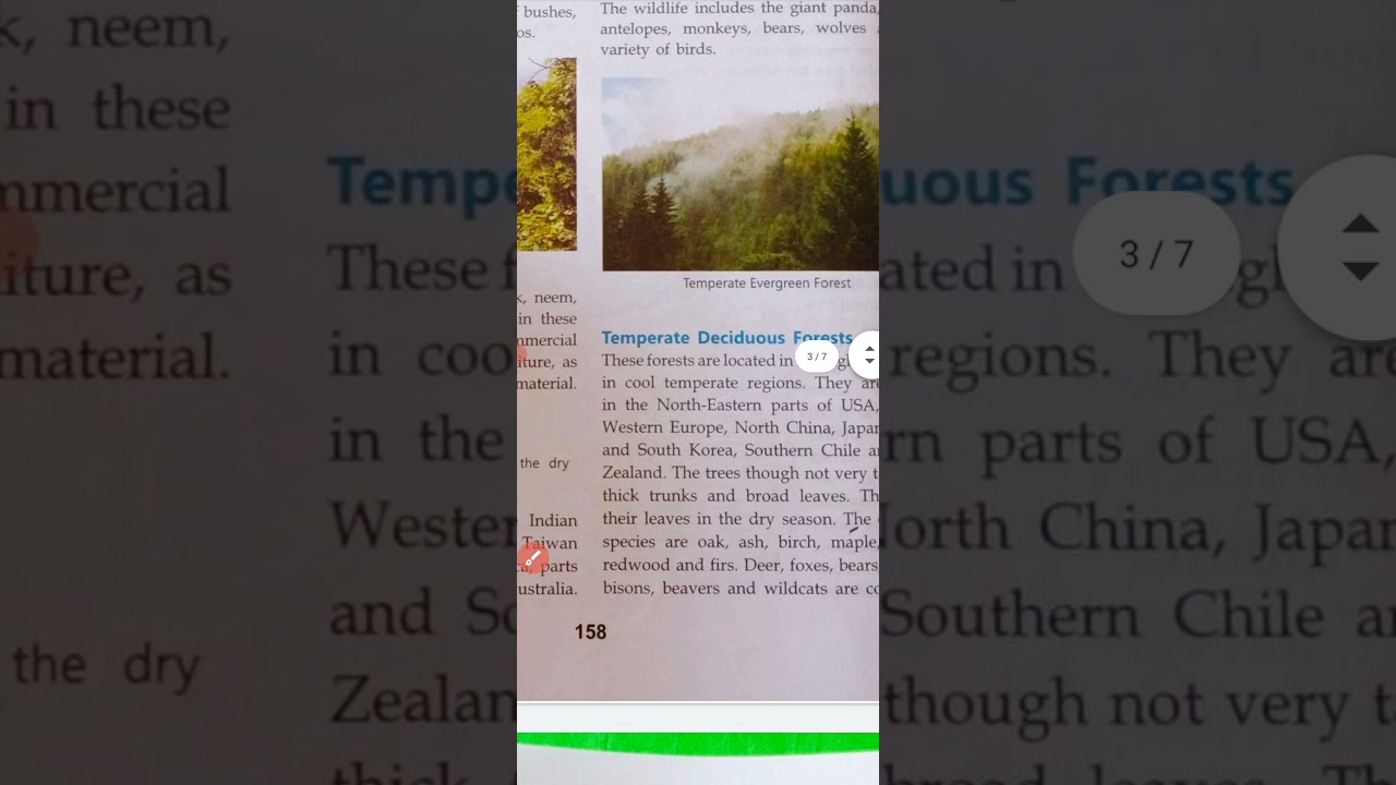 temperate evergreen and deciduous forests.