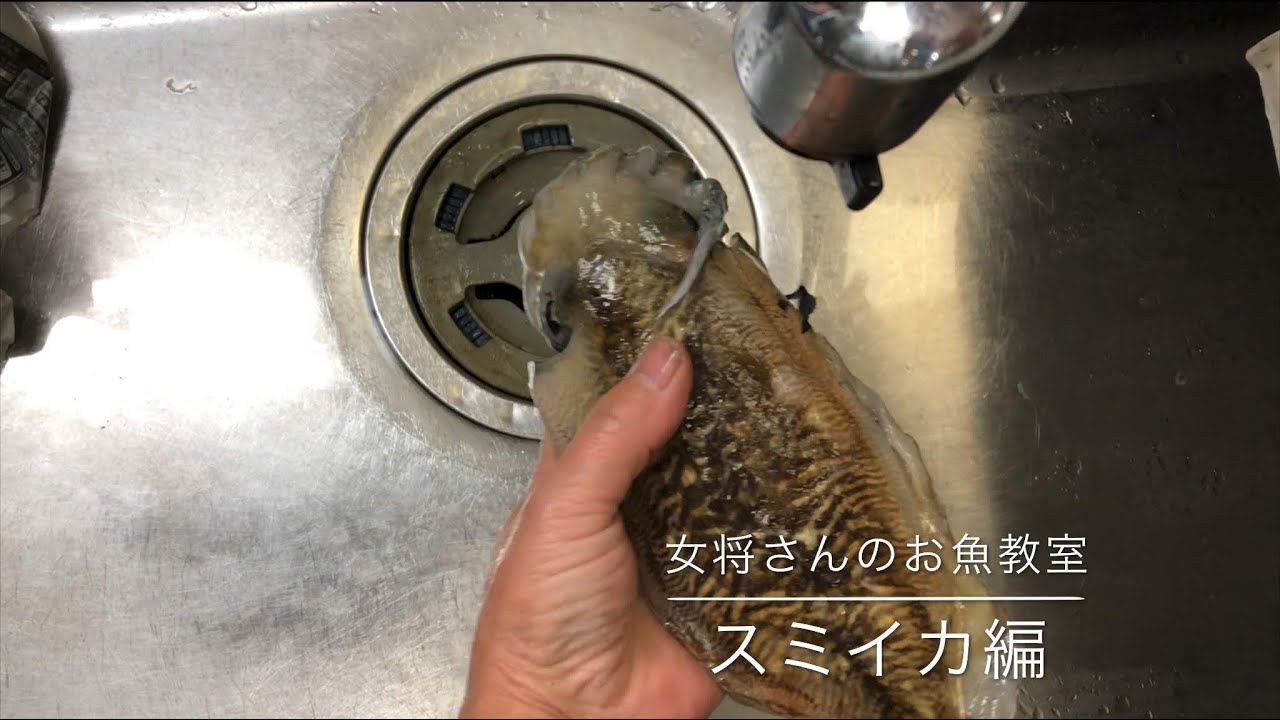 三喜丸直伝 『女将さんのお魚教室 スミイカ編』