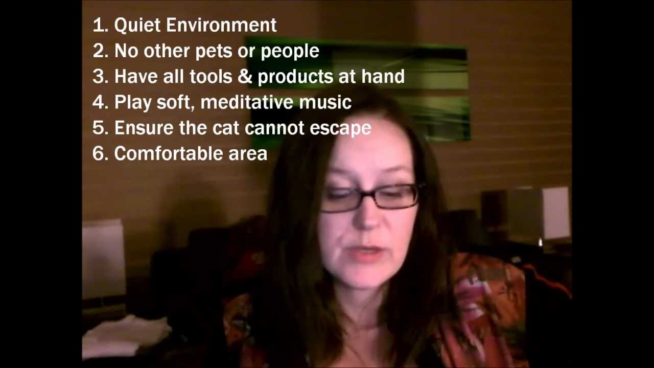 Creating the Purr-fect Cat Grooming Environment